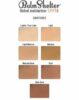 ⁦Balm Shelter Tinted Moisturizer - Light/Medium⁩ - الصورة ⁦2⁩